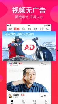 西瓜视频内测版最新爆料,功能升级,内容盛宴即将开启! 第2张 西瓜视频内测版最新爆料,功能升级,内容盛宴即将开启! 第2张